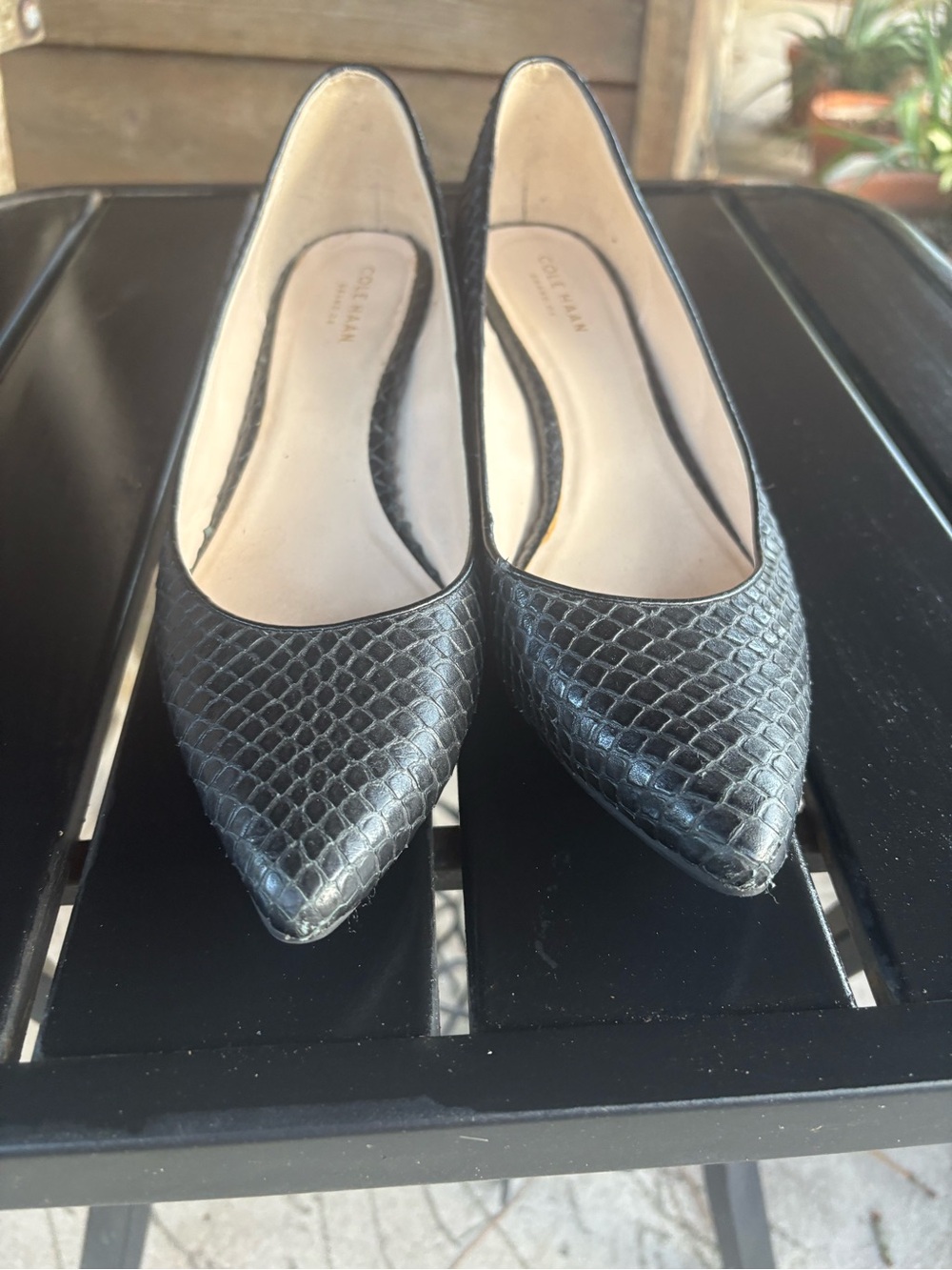 Cole Haan Black Snake-Embossed Pointed Toe Flats